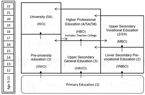 Figure 1. The Dutch Education System, with ISCED levels and standard Dutch abbreviations in parentheses (from Cornelisz & Van Klaveren, Citation2018). After finishing primary education (grade six) children are tracked into three educational levels based on the recommendation of primary schools. The two routes investigated here is from pre-university education (6 years) to university (3 to 5 years), and from upper secondary general education (5 years) to higher professional education (four years).