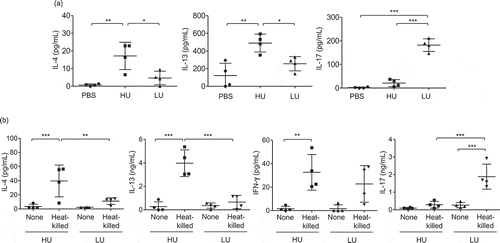 Figure 5. High-uptake C. neoformans potentiated the induction of type 2 immune responses and reduced type-17 immune responses in the lungs.BALB/c mice received PBS or were infected with the top 4 high-and the top 4 low-uptake C. neoformans isolates. (a) The bronchoalveolar lavages were collected and assessed for cytokine production at 14 d postinfection. (b) Lung draining lymph nodes were harvested and cell suspensions were prepared to analyze antigen-specific cytokine production. After lymph node cells were stimulated with heat-killed Cryptococcus cells for 72 h, supernatant was collected and subjected to analyze cytokines by ELISA. Graphs depict mean ± SD and are representative of 3 experiments with 3 to 5 mice per group. Significance was determined by one-way ANOVA with Tukey’s post hoc analysis * p <0.05, ** p <0.01 and *** p <0.001.