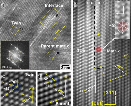 Figure 3. HRTEM of a twin along [011]fcc in the cold-rolled condition. (a) Raw HRTEM image of a twin and the corresponding FFT as inset. (b) FFT of a HRTEM showing the twin-matrix interfacial region. The small arrow in the bottom left of panel ‘3b’ indicates distortion of the (002) plane by ∼11 deg. angle inside the twin. Here, the dotted white line shows the trace of distorted (002) plane and the bold white line is the (002) trace inside the twinned region far from the interface. Reference fcc lattices inside the (c) twin and (d) parent regions away from the twin-matrix interface is also shown.
