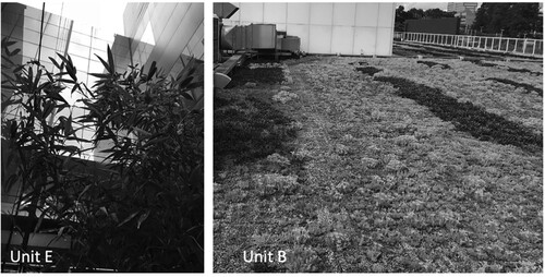 Figure 9. Outdoor areas, not accessible to the users. Source: the authors’ collection.