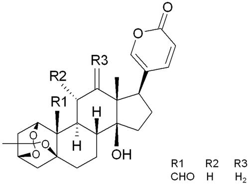 Figure 1. The structure of bersaldegenin-1,3,5-orthoacetate.