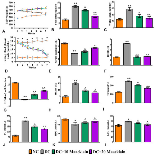 Figure2 The effects of maackiain metabolic parameters in HFD & low STZ induced diabetic rats. (A) Weekly body weights; (B) Food intake; (C) Water intake; (D) Fasting blood glucose levels (FBG); (E) serum insulin; (F) HOMA-IR; (G) HOMA-β cell function; (H) Glycated hemoglobin (HbA1c); (I) Total cholesterol (TC); (J) Triglycerides (TG); (K) High density lipoproteins (HDL); (L) Low density lipoproteins (LDL). The data were expressed as the mean ± S.D, n=6, **p < 0.001 and *p < 0.05 versus NC; ^^p<0.001 and ^p< 0.05 versus DC.