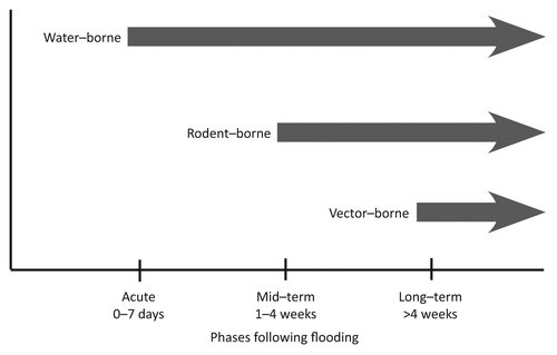Figure 1. The occurrence of infectious disease outbreaks following flooding in relation to time.