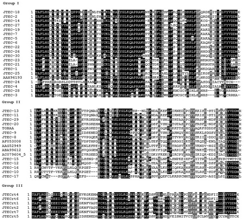 Figure 2 Multiple Sequence Alignments (MSA) of predicted amino acid sequences of the reverse transcriptase domains of Ty1-copia retrotransposons of jute and other species (Table 1). (a) is the Group I, (b) is the Group II and (c) is group III according to the phylogenetic tree.