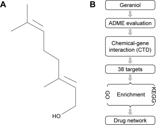 Figure 1 (A) Chemical structure of geraniol downloaded from the PubChem database (CID: 637566); (B) Workflow for the identification of potential geraniol target genes that integrates ADME evaluation, chemical-gene interaction, GO and KEGG pathway analyses and network construction.