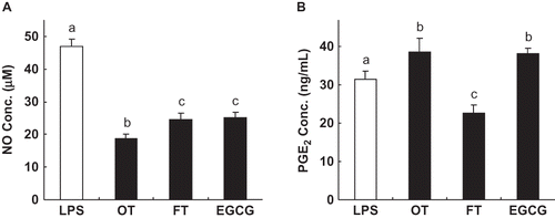 Figure 2 Effect of EGCG and the tea extracts on NO production (a) and prostaglandin E2 (PGE2) synthesis (b) in lipopolysaccharide- (LPS-) activated RAW264.7 cells. Adherent RAW264.7 cells were incubated with medium containing LPS (0.1 μg/mL) alone (control), or with LPS and tea extract (500 μg/mL) or EGCG (100 μg/mL) for 16 h. Each lane represents the mean ± SD of three independent experiments. In each category, the means with different letters are significantly different from each other at p < 0.05.