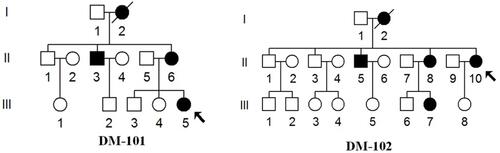 Figure 1 Two Han Chinese pedigrees with MIDD, affected individuals are indicated by filled symbols. Arrows indicate the probands.