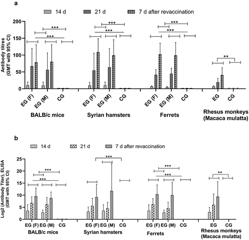 Figure 7. Antibody response in vaccinated BALB/c mice, Syrian hamsters, ferrets and rhesus monkeys (Macaca mulatta). The GMT of antibody against QazCovid-in® determined by MNA (a) and ELISA (b). An analysis of GMT using Dunnett’s Multiple Comparisons Test with a confidence interval of 95% after the first and second immunization identified statistically significant differences between experimental and control group given commercial PBS (** = p < .0002, *** = p < .001). The bars show of increase of antibodies at observation days in both gender groups. At 14, 21 days after first vaccination and 7 days following the re-vaccination no specific antibodies to saline were detected.