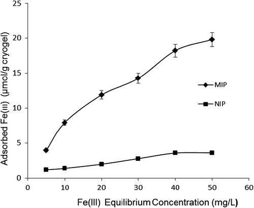 Figure 7. Effect of Fe3+ ion concentration on adsorption capacity; Flow rate: 1 mL/min; T: 25°C.