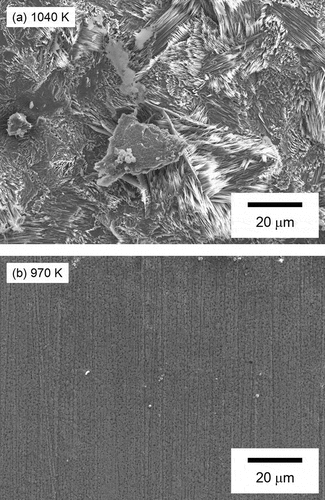 Figure 6. Microstructure of the SS surface from SEM: (a) −50 mm (about 1040 K), (b) 50 mm (about 970 K)