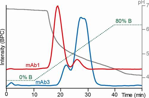 Figure 2. Optimized FcɣRIIIb AC-MS gradient. 30 mM ammonium acetate pH 6.8 (solvent A) and 50 mM acetic acid pH 3.0 (solvent B) were used as mobile phases. Base peak chromatograms (BPCs) of mAb1 (red) and mAb3 (blue) are displayed. The gradient (green) and the pH (gray) are displayed as well