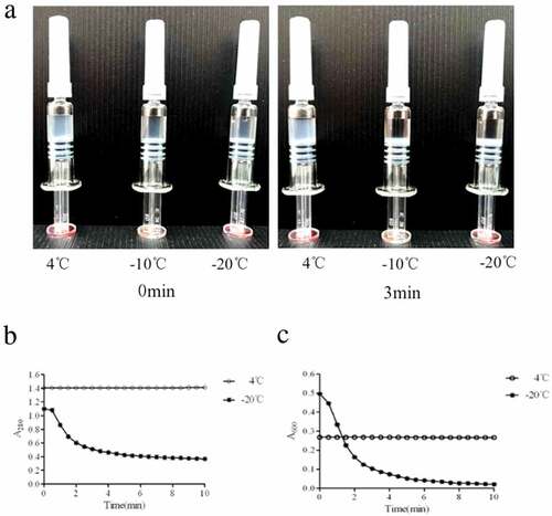 Figure 1. Freeze damage identification of HE vaccine indicated by shake test and A280 andA600. (A) The sedimentation and stratification were observed in freezing treated vaccine，while untreated vaccine was still in the form of a stable emulsion dispersed throughout an aqueous phase suspension. (B and C) Constant absorbance values were shown both in A280 and A600 for untreated vaccine. A280 for treated vaccine decreased from 1.100 to 0.366 in 10 min. A600 reflected the size and density of particles. Due to the particle aggregation, the initial A600 of untreated vaccine was 0.500, which is higher than 0.350 in untreated vaccine. And then the particles settled rapidly within 3 min and A600 value decreased to 0.100 at 10 min. Both absorbance values and shake tests could discriminate freezing exposure on rHE vaccine.