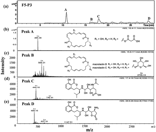 Figure 4. Chromatogram of antimicrobial compounds of fraction F5-P3 analyzed by HPLC (a) and ESI-MS (b–e). Peak A was identified as 7-O-malonyl macrolactin A (b), Peak B was identified as macrolactin B or C (c), Peak C was identified as N-acetylated amicoumacin B (d) and Peak D was identified as amicoumacin C (e). All mass spectra were detected in positive ion mode (m/z represents mass-to-charge ratio).Figura 4. Cromatograma de compuestos antimicrobianos de la fracción F5-P3 analizada por HPLC (a) y ESI-MS (b-e). El pico A fue identificado como 7-O-malonil macrolactina A (b), el pico B como macrolactina B o C (c), el pico C como N-acetilatada amicoumacina B (d) y el pico D como amicoumacina C (e). Todos los espectros de masa fueron detectados en el modo de ion positivo (m/z representa la relación masa/carga).