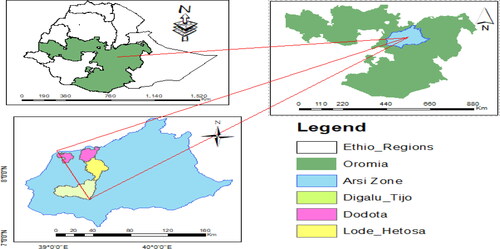 Figure 1. Location of the study area.