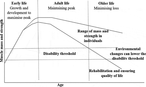 Figure 1. Changes in muscle mass and strength with respect to age (Sayer et al., Citation2008).