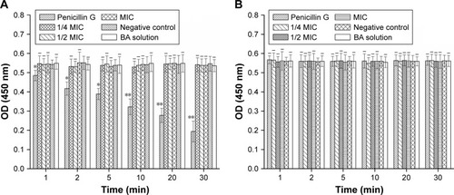 Figure 5 Effect of PEGylated Nano-BA12K on the PG content of S. pneumonia ATCC 49619 (A) and S. pneumonia 16167 (B). Three independent trails were performed and the mean value was used for the graphs. *P<0.05: different from the negative control, **P<0.01: significantly different from the negative control, −P>0.05: not significantly different from the negative control.