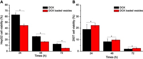 Figure 4 Comparison of DOX-loaded CAAP5G vesicles and DOX on viabilities of HepG2 cells (A) and 293T cells (B) at different time periods; the concentration of DOX was 5 µM. Statistically significant differences were observed (*p<0.05).