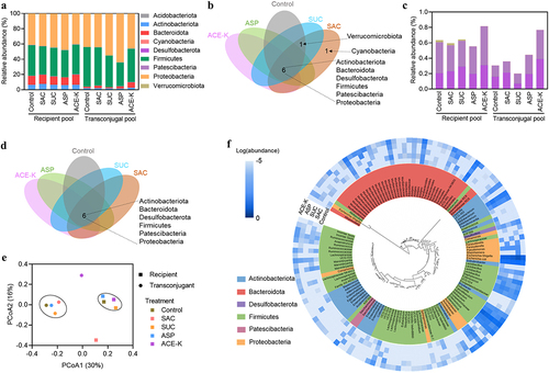 Figure 3. Diversity in transfer host range of mice fecal microbiome under exposure to artificial sweeteners. a Phylum-level relative abundance of the recipient and transconjugant pools from mice feces (the control and artificial sweetener-treated groups) after 24-h conjugation assay. b Venn diagram at phylum level of the recipient pools in the absence or presence of artificial sweeteners. c Relative abundance of rare taxa (relative abundance < 1%) from the recipient and transconjugant pools with or without artificial sweeteners treatment. d Venn diagram at phylum level of the transconjugant pools in the absence or presence of artificial sweeteners. e Bray-Curtis PCoA of the recipient and transconjugant pools at the genus level. f Phylogenetic tree showing the relative abundance of all 134 identified OTUs from transconjugant pools. Background colors of OTUs indicate different phylogenetic groups. The periphery blue heatmap-circle indicates the log-relative abundance of each OTU in the transconjugant pools.