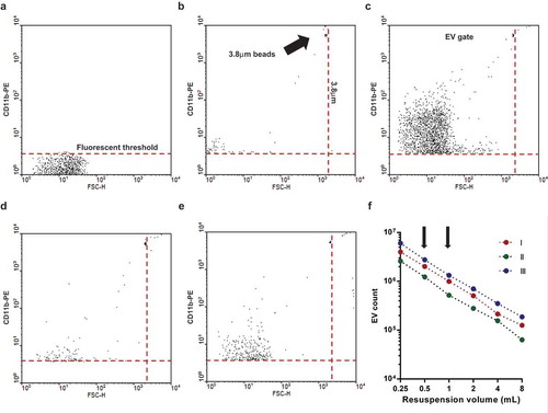 Figure 1. Gating strategy of flow cytometric (FC) EV detection. Representative dot plots of FC measurements. a. Fluorescence threshold was set in pure HBSS in the yellow fluorescence channel (585 nm) against forward scatter plot. b. Spherotech beads (3.8 μm) were used to set the upper size limit of EV gate. c. Representative dot plot of CD11b PE labelled EV. d. Representative dot plot of isotype PE antibody labelled EV. e. Representative dot plot of 0.1% Triton X-100 treated CD11b PE labelled EV. f. Relation of EV count to serial dilution. The x axis indicates the final volume used for resuspension of the sedimented EVs. Three representative measurements. The arrows indicate the dilution used routinely.