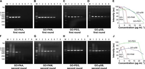 Figure 4 Effect of GO derivatives on the first- and second-round PCRs.Notes: M: DNA marker. The concentration of GO derivative in lanes 1–8 in (A), (B), (F) and (G) is 0 μg mL−1, 0.8 μg mL−1, 1.6 μg mL−1, 3.2 μg mL−1, 4.8 μg mL−1, 6.4 μg mL−1, 8.0 μg mL−1 and 9.6 μg mL−1, respectively. The concentration of GO derivative in lanes 1–6 in (C), (D), (H) and (I), is 0 μg mL−1, 4.8 μg mL−1, 9.6 μg mL−1, 14.4 μg mL−1, 19.2 μg mL−1 and 24.0 μg mL−1, respectively. The contents of PAA, PAM, PEG and pSB in GO derivatives are 43.48%, 40.96%, 42.53% and 38.70%, respectively. (E) PCR band intensity at different concentrations of GO derivatives in 1st round PCR. (J) PCR band intensity at different concentrations of GO derivatives in 2nd round PCR.Abbreviations: GO, graphene oxide; PAA, polyacrylic acid; PAM, polyacrylamide; PCRs, polymerase chain reactions; PEG, polyethylene glycol; pSB, poly(sulfobetaine).