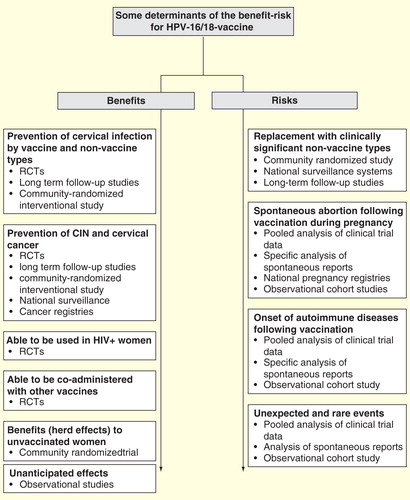 Figure 1. Determinants of the HPV-16/18-vaccine benefit–risk with highlights of investigative strategies.