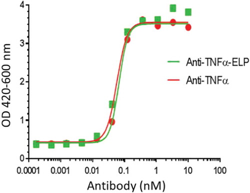 Figure 6. Neutralizing assay on TNFα induced cytotoxicity in mouse L929 cells: Anti-TNFα-ELP fusion mAb and anti-TNFα mAb were serially diluted and pre-incubated with recombinant human TNFα (2.9 × 10−12 M final concentration). The pre-incubated samples were added to the murine fibrosarcoma cell line L929. Viability was quantified using WST-1 reagent. The plates were read at OD 420–600 nm on a Spectramax 190 ELISA plate reader (Molecular Devices, Sunnyvale, CA). The IC50 value was determined by plotting the OD420–600 values vs. the concentration of mAb-ELP using a non-linear four parameter curve fit using Graphpad Prism 5.