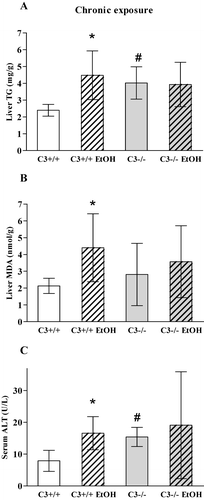 Figure 2. Effect of chronic ethanol feeding on the concentration of triglycerides(A) and malondialdehyde (B) in the liver and on serum alanine aminotransferase activity (C) in C3+/+ and C3−/− mice. Animals were treated with ethanol (n = 12) or control (n = 8) diet for 6 weeks. (* P<0.05 for the effect of ethanol; # P<0.05 for the effect of genotype.)