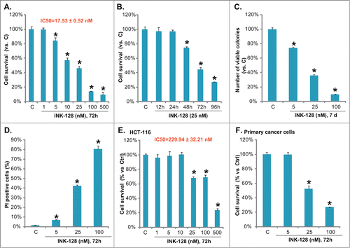 Figure 1. INK-128 inhibits colorectal cancer cell growth. HT-29 cells were exposed to the indicated concentration of INK-128 for 72 h (A), or treated with 25 nM of INK-128 for indicated time (B), cell survival was analyzed by MTT assay. HT-29 cells were exposed to indicated concentration of INK-128 (5, 25 and 100 nM), cells were subjected to the “Clonogenicity” assay (7 d after stimulation) and PI staining (72 h after stimulation), number of survival colonies (C) and PtdIns positive cells were recorded (D). HCT-116 cells (E) or the primary cultured colon cancer cells (F) were either left untreated, or exposed to indicated concentration of INK-128 (5, 25 and 100 nM) for 72 h, cell survival was analyzed by MTT assay. Data were expressed as mean ± SD, experiments were repeated 3 times, and similar results were obtained. *P < 0 .05 vs. control group.