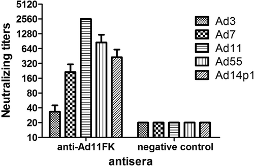 Fig. 2 Cross-neutralizing antibody responses induced by HAdV11FK in mice.Sera from HAdV11FK-immunized mice (n = 3 per group) were assessed for NAb titers to HAdV3, HAdV7, HAdV11, HAdV55, or HAdV14p1 viruses. Antiserum from a mouse immunized with PBS was used as the negative control