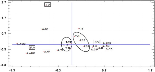 Figure 2. MCA bi-plot. Antibiotics tested: A. AMP = ampicillin; A. C = chloramphenicol; A. CN = gentamicin; A. CRO = ceftriaxone; A. K = kanamycin; A. NA = nalidixic acid; A. SXT = trimethoprim/sulphametoxazol; A. TE = Tetracycline. Before any dose administrations (T. C0), after the three dose administrations (T.T1, T.T2 and T.T3), and the same sampling for the control group (T.C1, T.C2 and T.C3). RV = (resistant values), IV = (intermediate values), SV = (sensitive values).