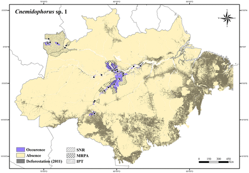 Figure 102. Occurrence area and records of Cnemidophorus sp. 1 in the Brazilian Amazonia, showing the overlap with protected and deforested areas.