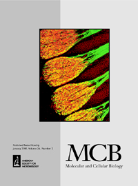 Cover image for Molecular and Cellular Biology, Volume 26, Issue 2, 2006