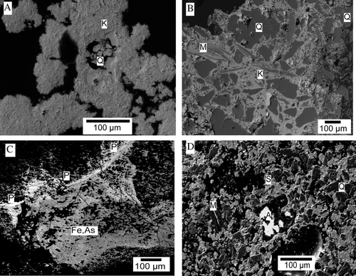 Fig. 4  Electron backscatter images of some secondary arsenic minerals and textures in South Island mine wastes. (A) Crystalline kankite (K) encrustations with scattered quartz (Q) grains, Phoenix battery. (B) Massive fine-grained kankite (K) cementing mine waste grains of quartz (Q) and muscovite (M). (C) Precipitated material from the Globe-Progress mine lower tunnel apron (Table 2). Amorphous ferrihydrite (black) and amorphous ferrihydrite with abundant admixed arsenate (Fe,As; middle grey) dominate this material, which is cut by a veinlet of secondary pharmacosiderite (P; pale grey). (D) Scorodite (S; middle grey) forms a cement in mine wastes dominated by dark grey quartz (Q) and muscovite (M). A relict arsenolite grain (white, A) has been partially plucked during specimen preparation, leaving a black hole.