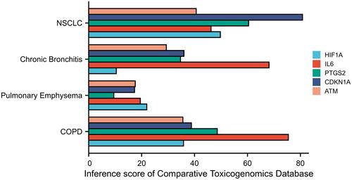 Figure 6 The correlations between hub genes and respiratory tract diseases in comparative toxicomics database.