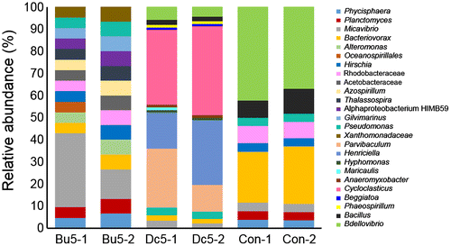 Figure 7. Microbial community structures of different biofilm groups at the genus level. The relative abundance of a certain genus was calculated based on the number of reads mapped to transcripts classified to this genus. The abbreviations of the biofilm names are described in Figure 4 and each sample has two biological replicates (–1 and –2).