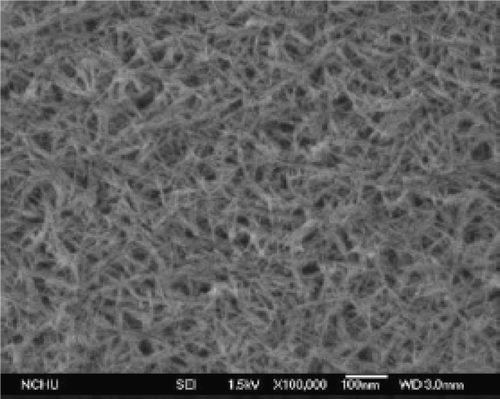 Figure 26. SEM image of the CuO nanoparticle Citation49.