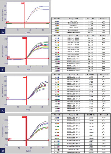 Fig. 6 (Colour online) Real-time PCR detection of Pcc isolates using the LNA probe. (a) DSM-30 168 = positive control, HBPcc2 = positive control, DSM-4610 = D. chrysanthemi, DSM-50 259 = P. cichorii, HBPcc4 = Banana Pcc isolate (b) HBPcc-1-HBPcc15 = Pcc banana isolates (c) HBPcc-16-HBPcc30 = Pcc banana isolates. (d) HBPcc-31-HBPcc41 = Pcc banana isolates, DSM-30 168 = positive control.