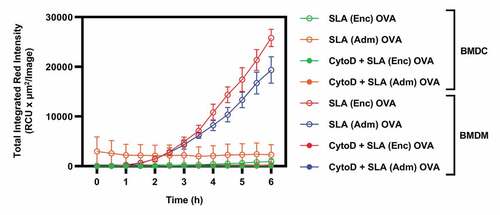 Figure 3. Kinetics of SLA (Enc) and (Adm) uptake by BMDMs and BMDCs in vitro.