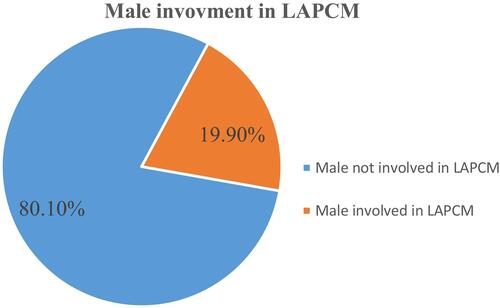 Figure 1 Male involvement in long-acting and permanent contraceptive methods use in West Badewacho, Southern Ethiopia, 2019.
