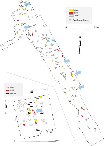 FIG 7. Top: Great Chesterford, Essex. About 75% of this cemetery has been excavated; note the two zones of children and infants each with concentrations of infant burials. Bottom: Westgarth Gardens, Suffolk. This site has single focus of infants and children in the centre adjacent to the older adults. Drawn by D Sayer ©.