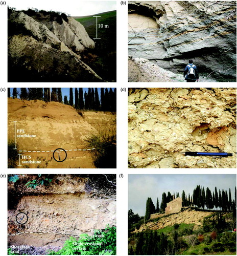 Figure 2. A- Outcrop expression of offshore deposits; B- Alternations of sandy and muddy beds typical of offshore transition facies association; C- Outcrop view of sandy shoreface deposits (circled hammer for scale). Note the diagnostic occurrence of hummocky-cross stratified sandstone beds; D- Close-up view of a tempestite bed, note the abundant mud-clasts and the shell fragments (pencil for scale); E- Beach gravels erosionally overlying shoreface sands (circled spatula for scale); F- Clinostratified sands of A3's deltaic deposits (the building is 5 m high).