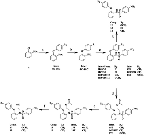 Scheme 1. (a) K2CO3, DMF, 120 °C, 7–8 h; (b)/(e)/(g) Ni2Cl·6H2O, NaBH4, MeOH, 0 °C, 2 h; (c) Pyridine, DCM, 0 °C, 8 h; (d) NaH, DMF, 90 °C, 7–8 h; (f) K2CO3, MeOH, 60 °C, 5–6 h.