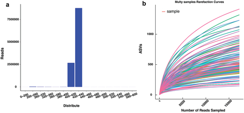 Figure 1. Quality Control and Basic Analysis. (a) the abscissa is the sequence length of tags, and the ordinate is the number of tags.(b) Rarefaction curves for ASVs.