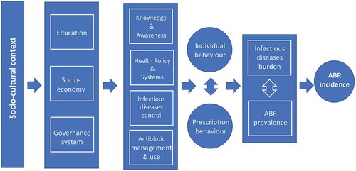 Figure 5. A suggested epidemiological framework with potential entry-points for prevention of ABR