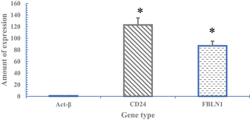 Figure 4. CD24 and FBLN1 gene expression results in myeloid cells.