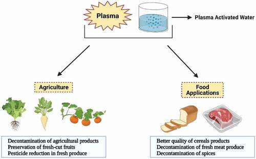 Figure 1. Potential applications of plasma and PAW in agriculture and food.