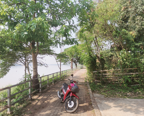 Figure 1. My red Honda motorcycle parked adjacent to the Mekong River in Phon Phisai town, June 2023. On the right is a private house and garden.
