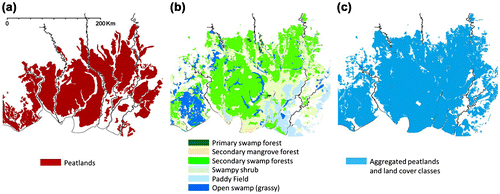 Figure 3. The existing image-interpreted map for part of Central Kalimantan Province centered at approximately 114°10′24.86″ E 2°22′53.54″ S; (a) peatlands distribution map; (b) land cover map; and (c) the aggregated map of (a) and (b) as reference.