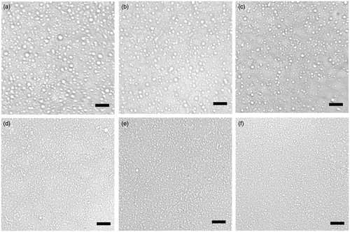 Figure 2. Optical micrographs of w/o emulsions prepared with 5% PGPR in oil phase, immediately after preparation. Without adding Tween 80 in aqueous phase: (a) With different concentrations of Tween 80 in aqueous phase: (b) 1% Tween 80; (c) 2% Tween 80; (d) 3% Tween 80; (e) 4% Tween 80; (f) 5% Tween 80. Bar = 5 μm.