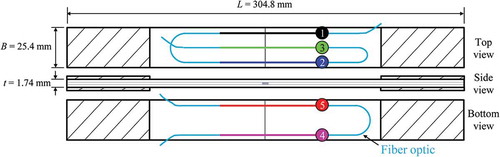 Figure 2. Schematic representation of fiber optics placement on both top and bottom surfaces of the CCP specimen and the 5 regions of interest for measurements.